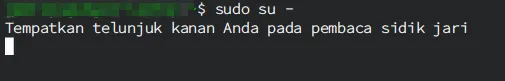 sudo prompt with fingerprint authentication